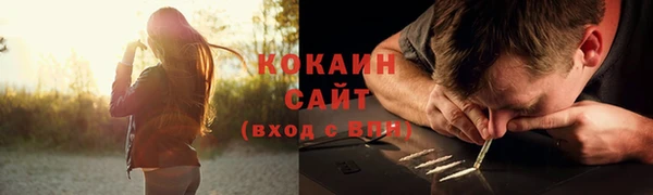 apvp Алексин